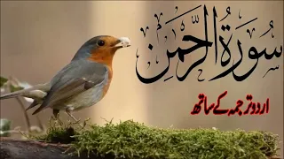 Surah Rahman full With Urdu Translation Qari Al Sheikh Abdul Basit Abdul Samad (2024)