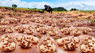 Wow!! amazing a smart man picking many egg duck underground in mud near road
