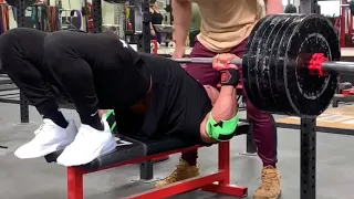 500x20 BENCH PRESS LARRYWHEELS