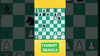 Гамбит Эванса и коварный промежуток #shorts