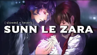 Sunn Le Zara | 1921 | Slowed Reverb Rain Mix Lofi | Audible Painter | Arnab Dutta | Zareen Khan | HD