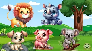 Funniest Animal Sounds In Nature: Lion, Rhinoceros, Koala Bear, Pig, Dog - Animal Sounds