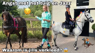 Ik ben bang om met Jazz te mennen & Jills gaat verkleed naar springwedstrijd! | ashleyvrijn VLOG #25