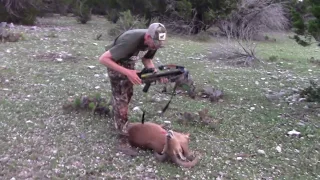 Texas Aoudad Hunt Part 3