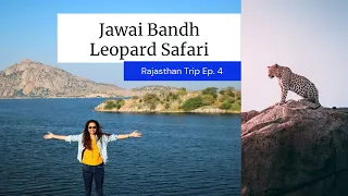 Jawai Bandh Leopard Safari | Jawai Bandh Rajasthan | Jawai Leopard Safari | Eat Travel Fun