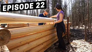 Building A Log Cabin | Ep. 22 | Roof rafters, log notching, gardening & water collection