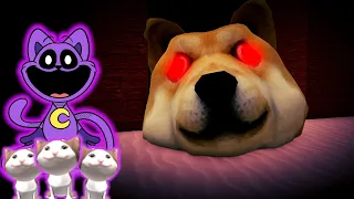 Catnap From Smiling Critters Saves His Kitty Friends From Hungry Doges - Roblox