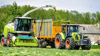 Żyto Na Kiszonkę 2020 ☆ Claas Jaguar 960 ☆ Claas Arion 650 ☆ Veenhuis ☆ Agrotechnika Lewandowski