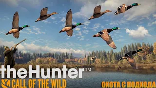 The Hunter Call of the Wild. Охота на уток с подхода, пока не починят манок и чучела.