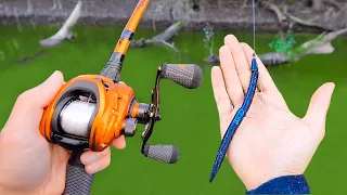 Catch 10x MORE Bass - THROW THIS! (Bass Fishing Tips)