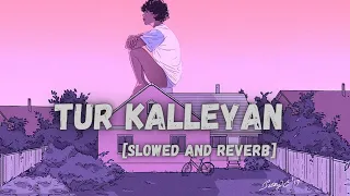 Tur Kalleyan Laal Singh Chaddha [Slowed + Reverb] | Arijit Singh, Shadab Faridi & Altamash Faridi