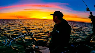 Overnight mission on Port Phillip Bay with my dog billy