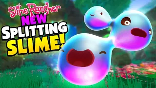 *New* SPLITTER SLIME Multiplies when ANGRY! - Slime Rancher Mods