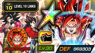 100% LR SSJ4 GOGETA LEVEL 10 LINKS WITH LVL 30 ADDITIONAL! Dragon Ball Z Dokkan Battle