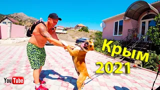 Новый Свет!!!Царский ПЛЯЖ 2021!!!Ныряем с Викухой с БОЛЬШОЙ ВЫСОТЫ!!!Наш Новый Друг БУБЛИК!!!