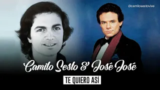 Camilo Sesto & José José - Te quiero así (Dueto mediante AI)