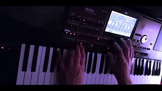 Sugar - Robin Schulz  KORG PA 700,1000,pa4x style