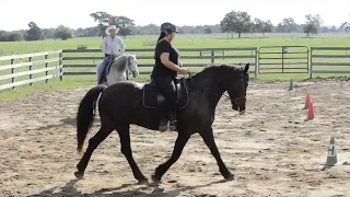 20 to 10 Pattern   Trot Warmup Lesson