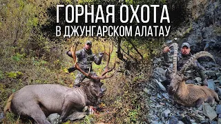 Горная охота на Марала и Козерога в горах Джунгарского Алатау. Mountain hunting for maral and ibex.