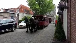 Stalhouderij Wijnand Hazeleger in Enkhuizen