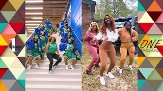 Steppers Challenge Dance Compilation #dance #challenge