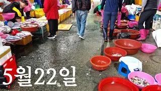 5월22일 오늘 소래포구 난전어시장 수산물 Soraepogu (Nanjeon Fish Market) seafood market in Korea