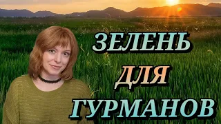 Травные, Пряные Ароматы для Гурманов | Необычные травно-пряные ароматы