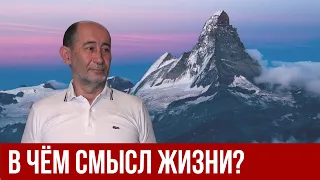 В чём смысл жизни? (Александр Бузгалин)