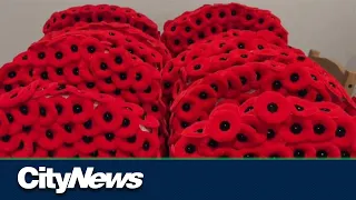 Roxboro legion getting ready for poppy campaign one year after fire