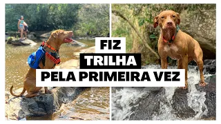 Fiz trilha 🥾 | pulei na cachoeira 💧 | assisti o pôr do sol 🌅 | #PéNaEstradaTodosDeMochila ep. 2