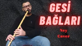 GESİ BAĞLARI - Serkan Bargun - Ney Cover