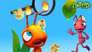 Magnifried 🔥 | 🐛 Antiks & Insectibles 🐜 | Funny Cartoons for Kids | Moonbug