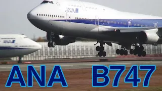 着陸の迫力凄すぎる  ANA  B747  伊丹空港  ITM  2005年撮影