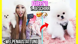 Welpe FLUFFY bekommt & TRÄGT zum 1. Mal GESCHIRR **ich ZEIGE euch ALLES von IHRER ERSTAUSSTATTUNG**