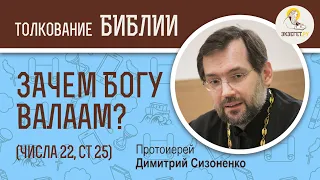 Зачем Богу был нужен Валаам? (Числа 22:25) Протоиерей Дмитрий Сизоненко. Толкование Ветхого Завета