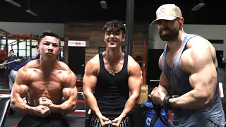 TRAINING ARMS with/ Tristyn Lee & Bryce Hall and two beasts.