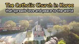 The Catholic Church in Korea