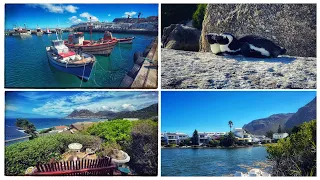 Wonderful relaxing time at Marina Da Gama, Muizenberg, Kalk Bay, Simonstown & Boulders Beach.