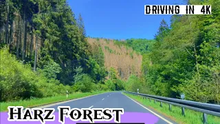 Harz Forest Germany Driving in 4K | Harz National Park Germany 4K