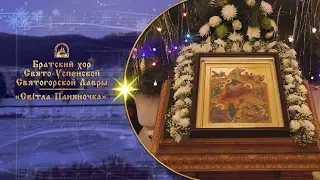 🎄 Світла Паняночка ⛄ Братский хор Святогорской Лавры