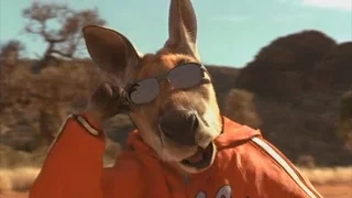 The entire Kangaroo Jack movie but it is just kangaroos