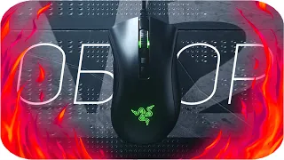 Razer Deathadder V2 - Самый ЧЕСТНЫЙ обзор