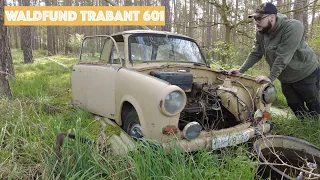 Einzzufuffzich | Waldfund Trabant 601