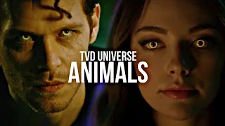 TVD Universe || Animals [ YPIV 600Subs ]