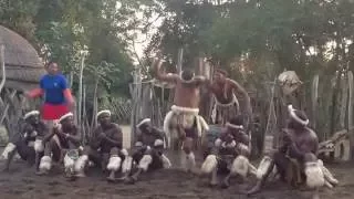 Baile zulú en Zululandia, Sudáfrica