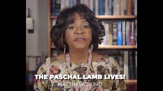 April 17th, 2022: The Paschal Lamb Lives!, Sunday School Made Simple