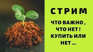 ОГОРОД, ЦВЕТЫ ... РАССАДА !чТО ВАЖНО . А ЧТО НЕТ ... СТРИМ