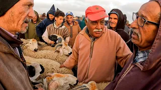 اليوم من سوق جمعة گيسر اقليم سطات مع ثمن حولي عيد الأضحى بتاريخ 24/05/2024