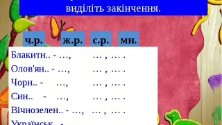 Українська мова (3 клас). Узагальнюючий урок за темою "Прикметник"