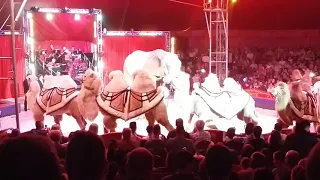 Hungary Big cirkus 2017.07.25